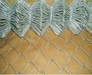 Hot dipped galvanized wire chain link fence& PVC-coated wire chain link fence